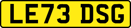 LE73DSG