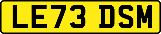 LE73DSM