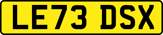 LE73DSX