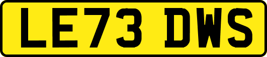 LE73DWS