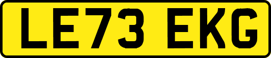 LE73EKG