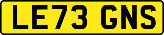LE73GNS
