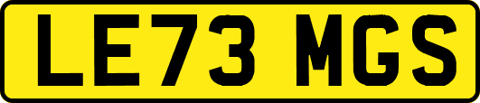 LE73MGS