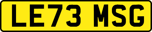 LE73MSG