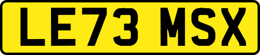 LE73MSX