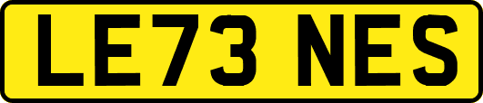 LE73NES
