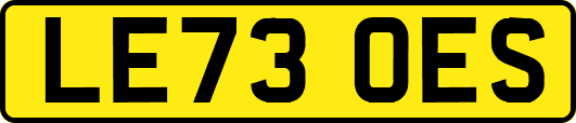 LE73OES