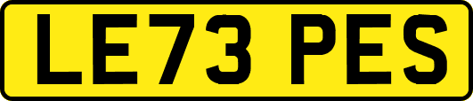 LE73PES