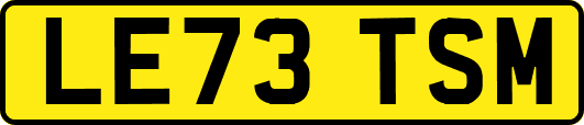 LE73TSM
