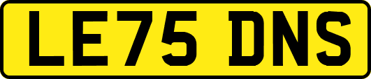 LE75DNS