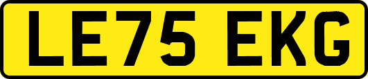LE75EKG