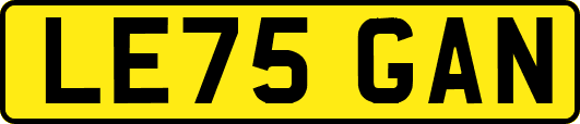 LE75GAN