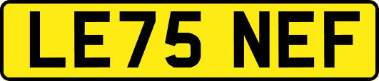 LE75NEF