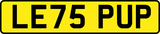 LE75PUP