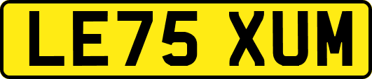 LE75XUM