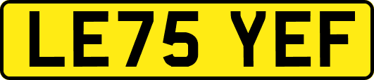 LE75YEF