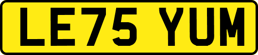 LE75YUM