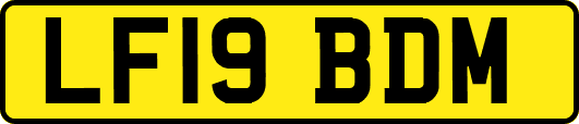 LF19BDM