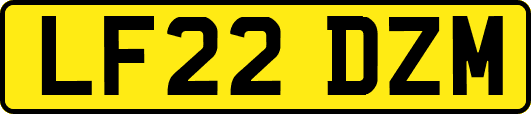 LF22DZM