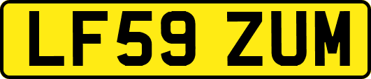 LF59ZUM