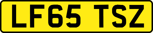 LF65TSZ