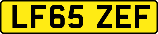 LF65ZEF