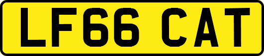 LF66CAT