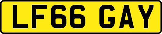 LF66GAY