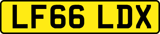 LF66LDX