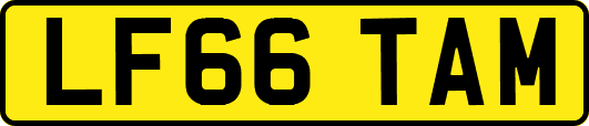 LF66TAM