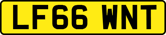 LF66WNT