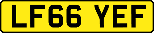 LF66YEF