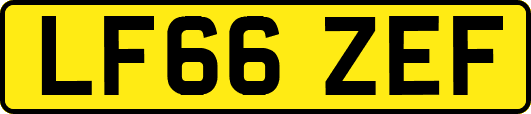 LF66ZEF