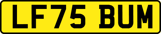 LF75BUM