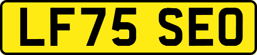 LF75SEO