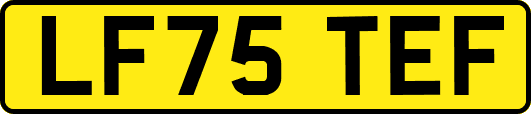 LF75TEF