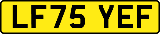 LF75YEF