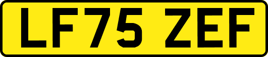 LF75ZEF