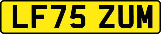 LF75ZUM