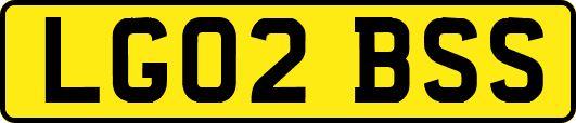 LG02BSS