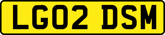 LG02DSM