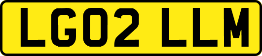 LG02LLM
