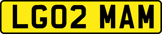 LG02MAM