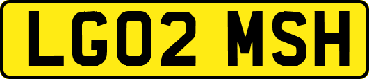 LG02MSH