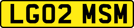 LG02MSM
