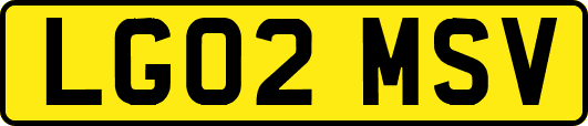 LG02MSV
