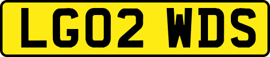 LG02WDS