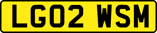 LG02WSM