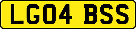 LG04BSS