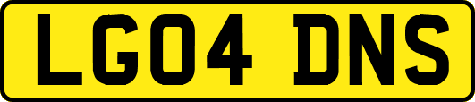 LG04DNS